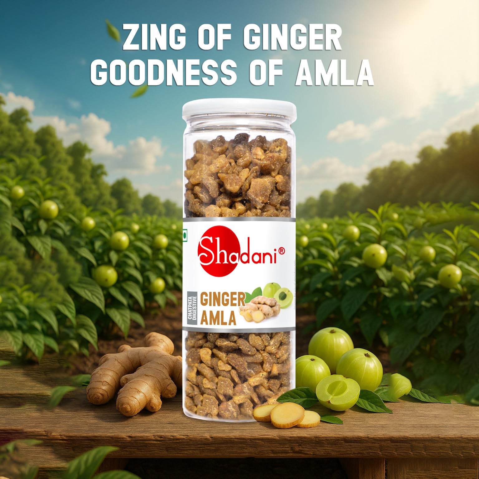 Shadani Dry Ginger Amla (180g) Indian Gooseberry Mix Ginger | Adrak Flavor Dry Amla | Tasty Snacks - Image 3 thumbnail
