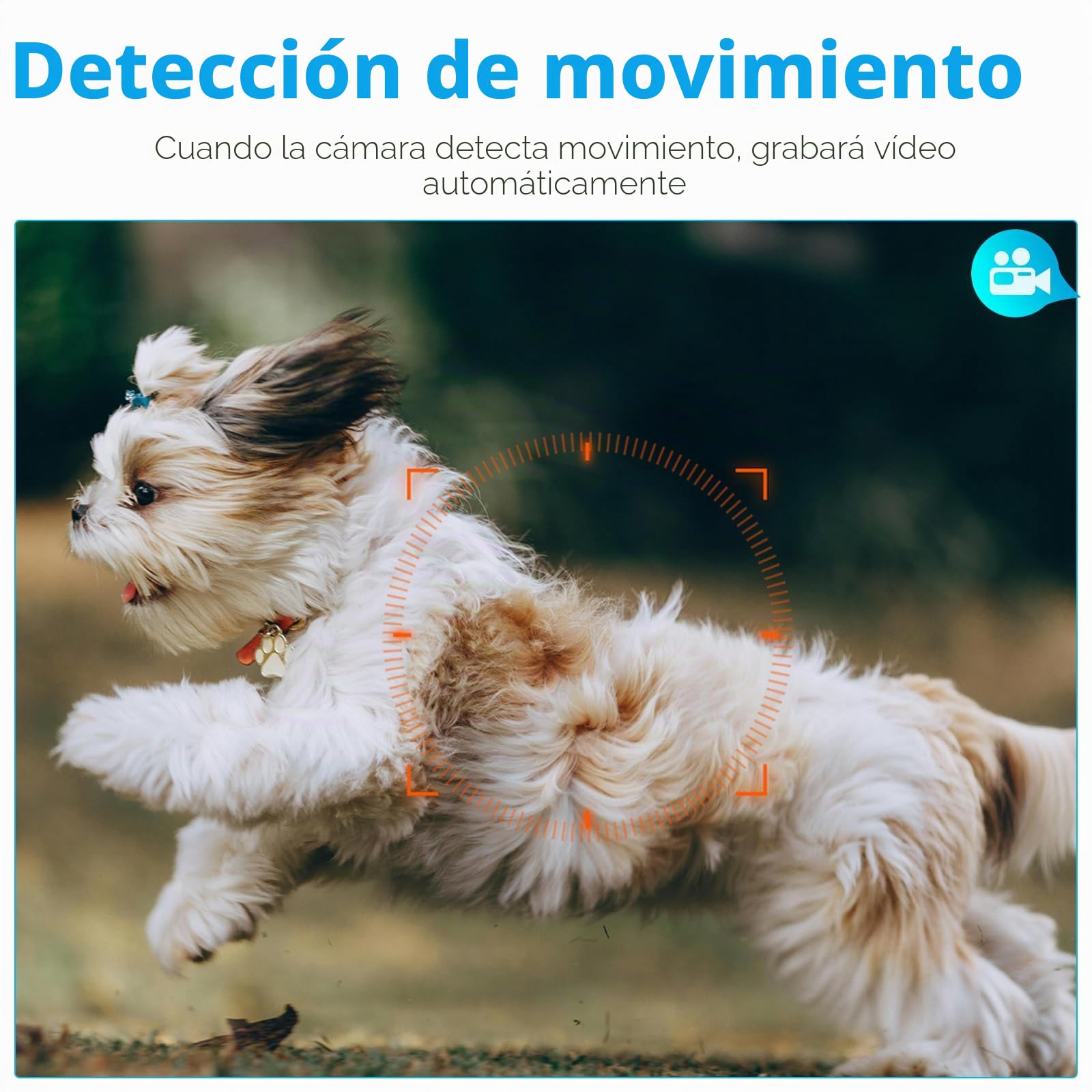 Cámara oculta espía, 1080P 10000mAh, cargador portátil, cámara oculta, sin wifi | Cámara secreta de seguridad de grabación continua de 20 horas con sensor de gravedad/detección de movimiento/visión nocturna