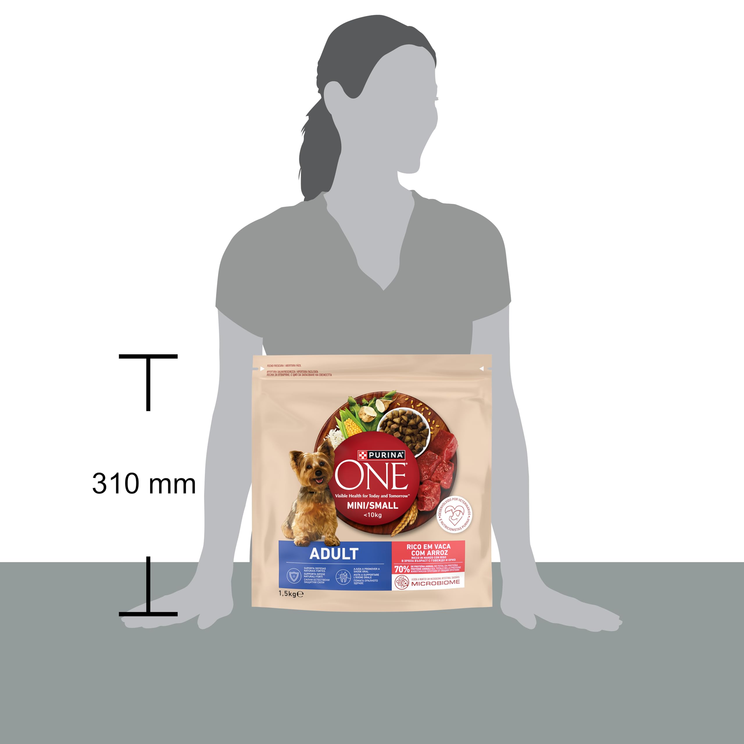 PURINA ONE Small Mini < 10kg Cibo per cani adulti con manzo e riso 1,5kg