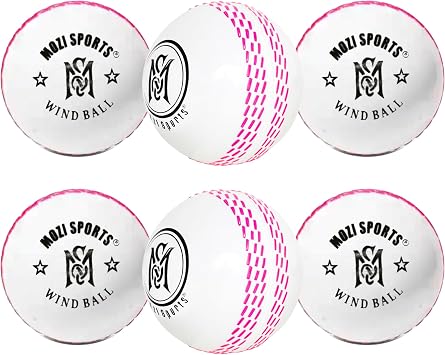 Wind Cricket Balls - Indoor & Outdoor Soft Training Cricket Balls for Skills Coaching Practice