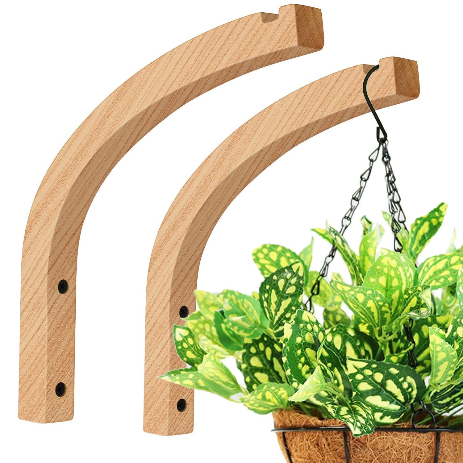 WUDORY Plant Hanger, Wall Planters for Indoor Plants, Wooden Wall Mounted Hanging Plant Hooks, Basket Hooks for Lanterns, Flower Bracket, Wind Chimes, Decoration (2-Pack,8-Inch) (B0DHRWHD16) Amazon Price History, Amazon Price Tracker