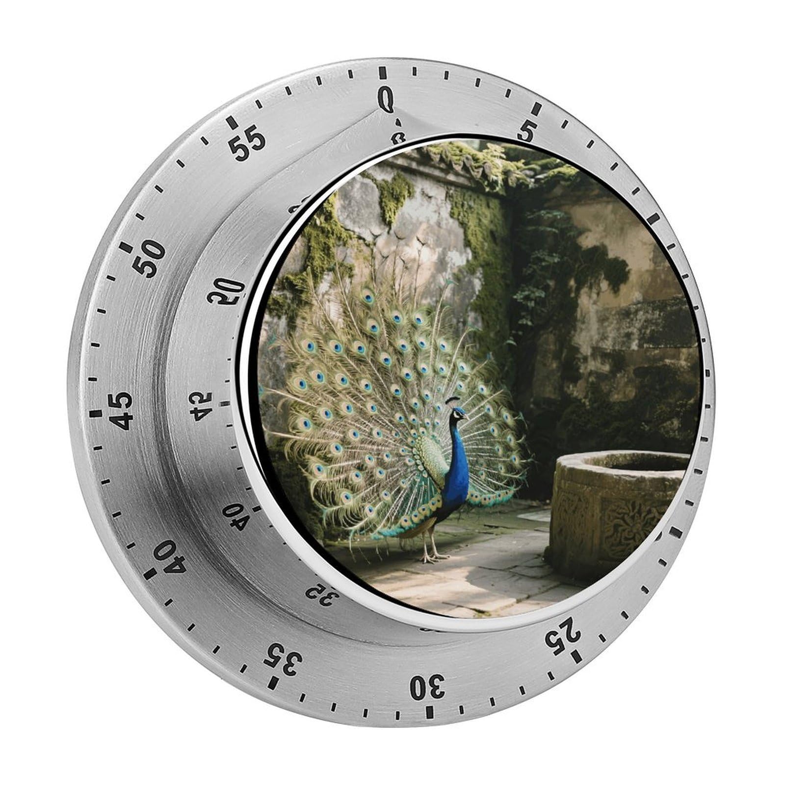 Cute Peacock Visual Timer Cute Desk Timers No Batteries Required Magnetic Indoor Countdown Timers Loud Alarm Exquisite Manual Time Timer Clock for Gift