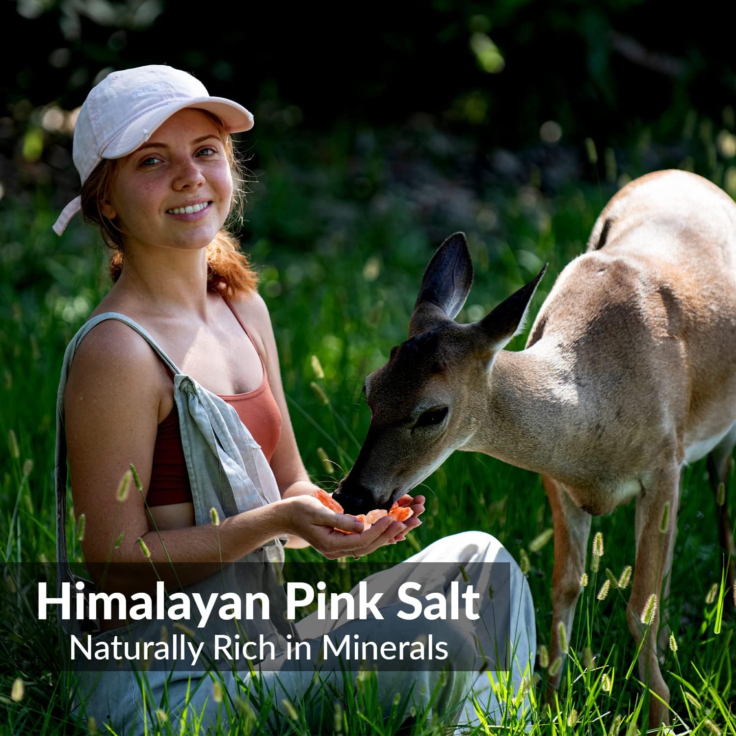 Himalayan Nature 100% Natural Solid Deer Mineral Rock Salt Chunks - Perfect for Hunting & Observing | 8 LBS : Grocery & Gourmet Food
