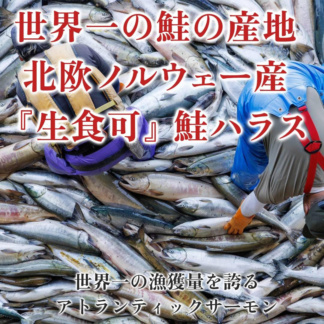 Amazon.co.jp: 【訳あり業務用 大容量】 脂身絶品 鮭ハラス (5kg) 冷凍