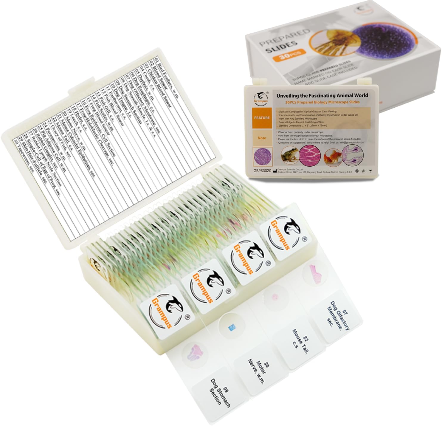 30 Prepared Microscope Slides with Specimens for Kids Students-Animal and Plant Microscope Slide Sets - Random Delivery (Either One Set) for Biological Lab, Children's Science Education, Homeschooling