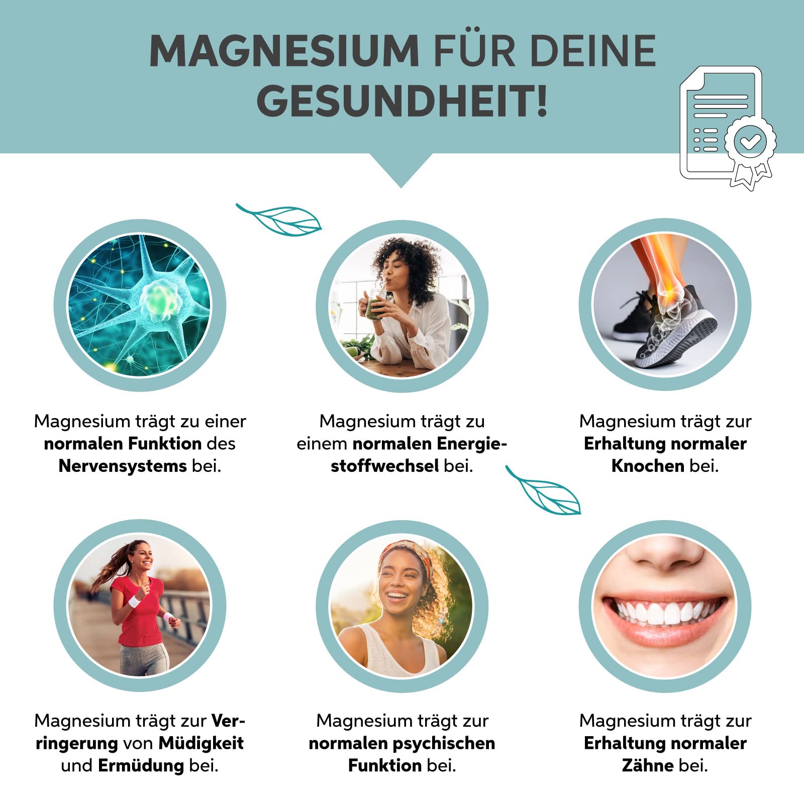 Sango Meereskoralle Pulver 1kg | Hochdosiert mit 34% Calzium | Premium Meeres Korallenpulver | Natürliche Quelle für Kalzium und Magnesium | Das Original aus Japan Okinawa