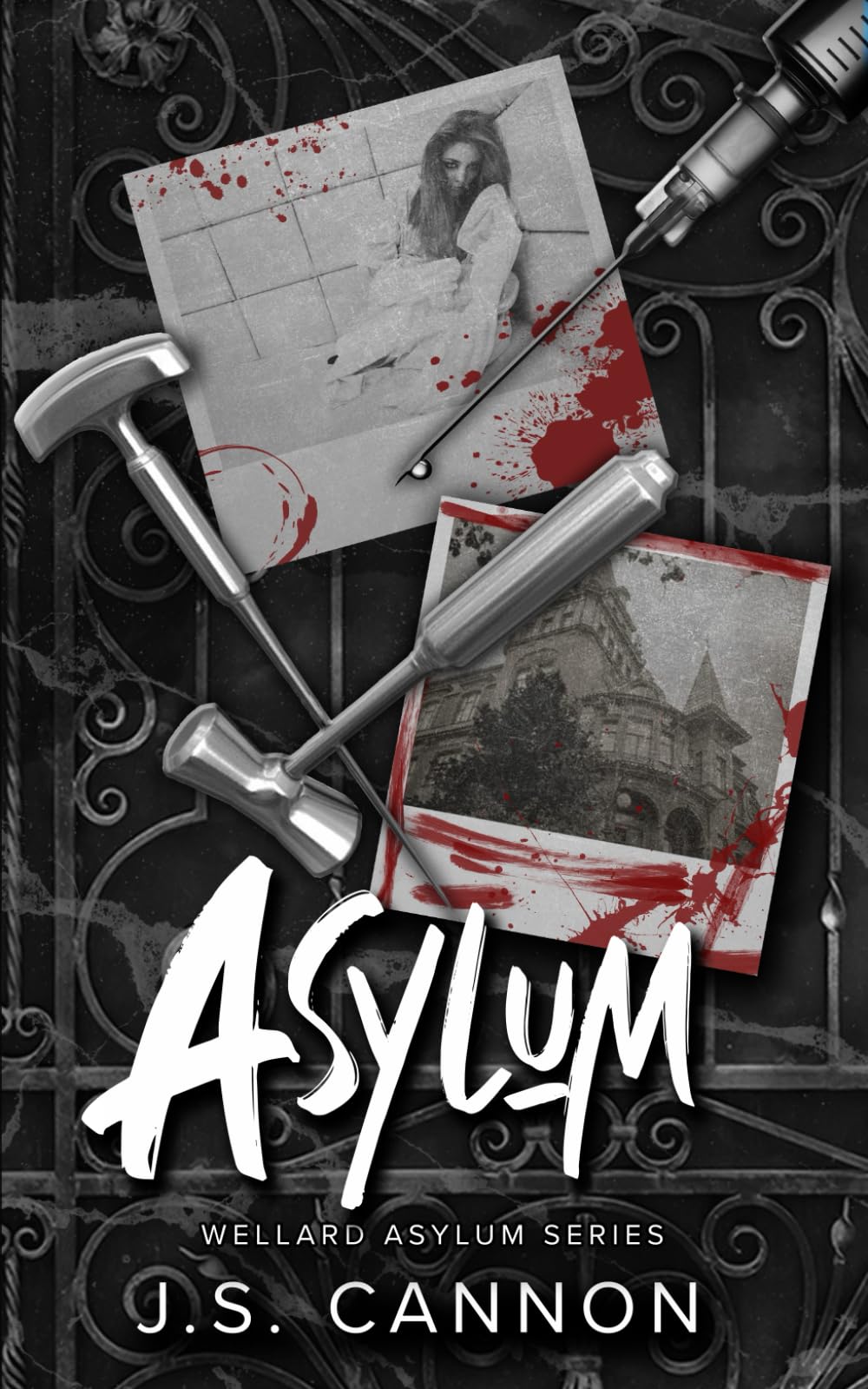 Asylum: The Wellard Asylum Series