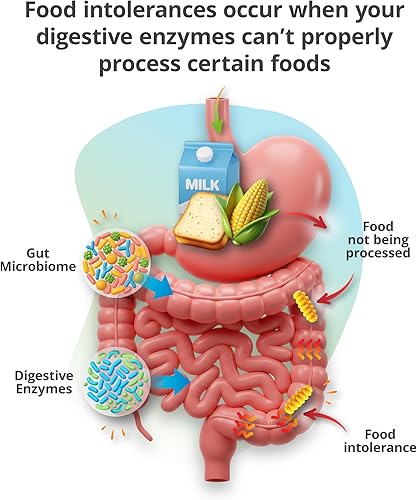 Vista 9 de 5Strands Prueba de intolerancia alimentaria, análisis preciso del cabello, 658 artículos probados, kit de prueba de sensibilidad alimentaria