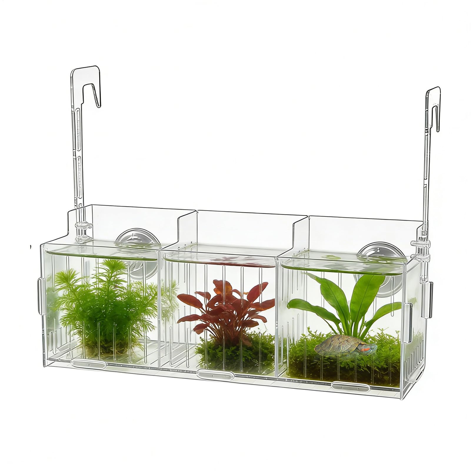 Planta Hidropónica para Acuario Decoración de Esquina de Vidrio Musgo y Planta Colgante