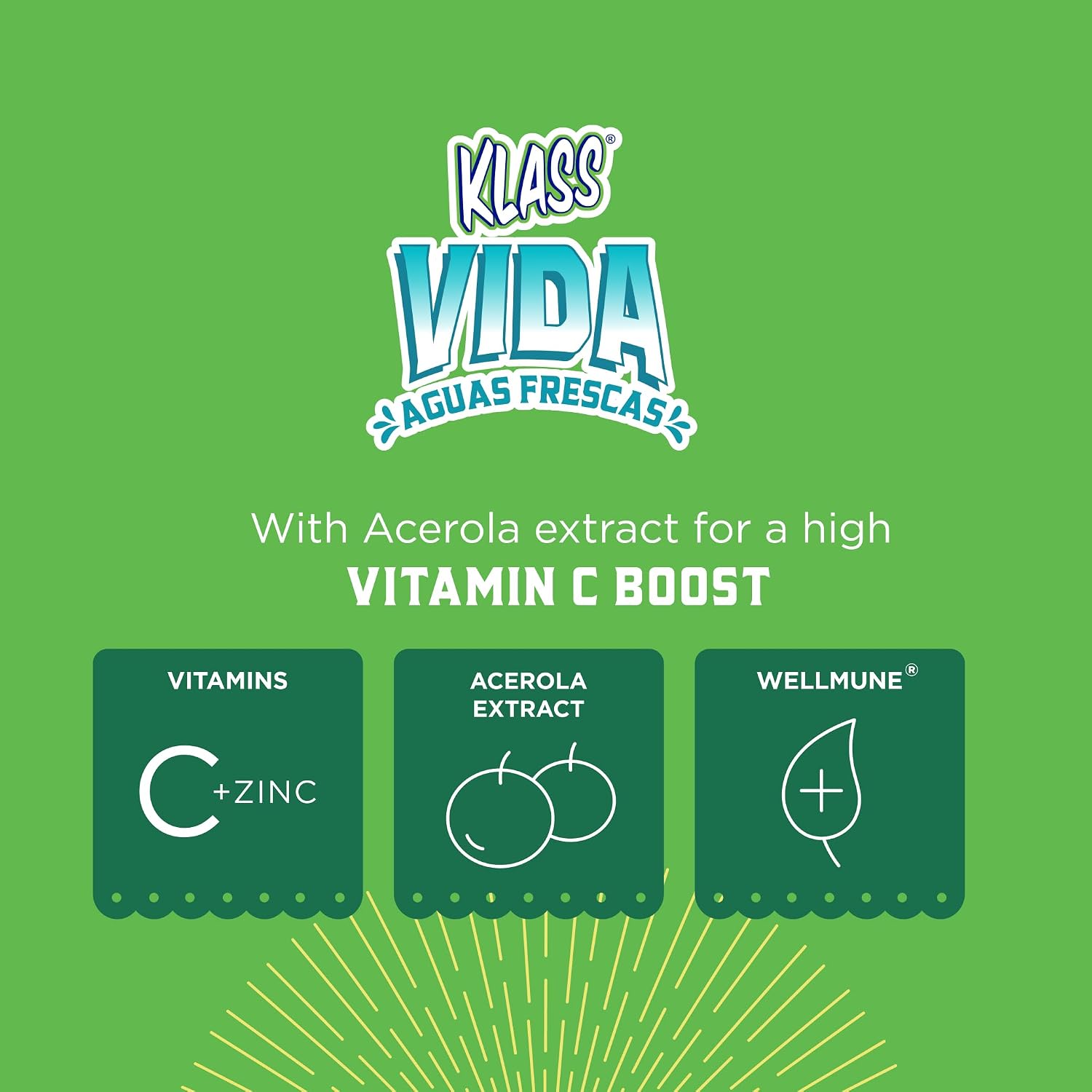 KLASS VIDA Hydration + Immunity Variety Pack Mango, Strawberry Horchata & Cantaloupe Agua Fresca Electrolyte Powder Packets | Sugar Free with Wellmune®, Acerola & Coconut Water | 15 Stick Packs