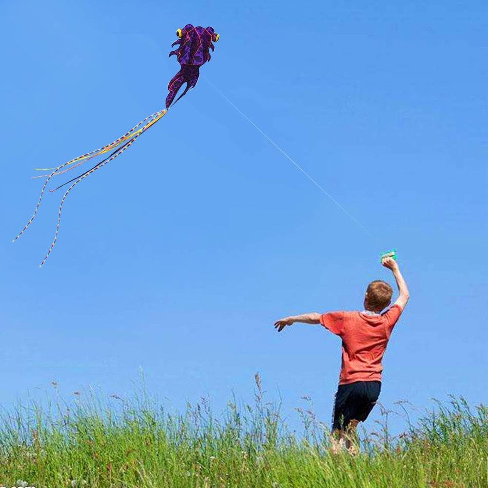 Großer Drachen, Riesendrachen, Tier, Große Outdoor Aktivitäten, Fliegendes Spielzeug für Strandausflüge, Vergnügungspark, Kinder, Geschenk für Erwachs, Lila