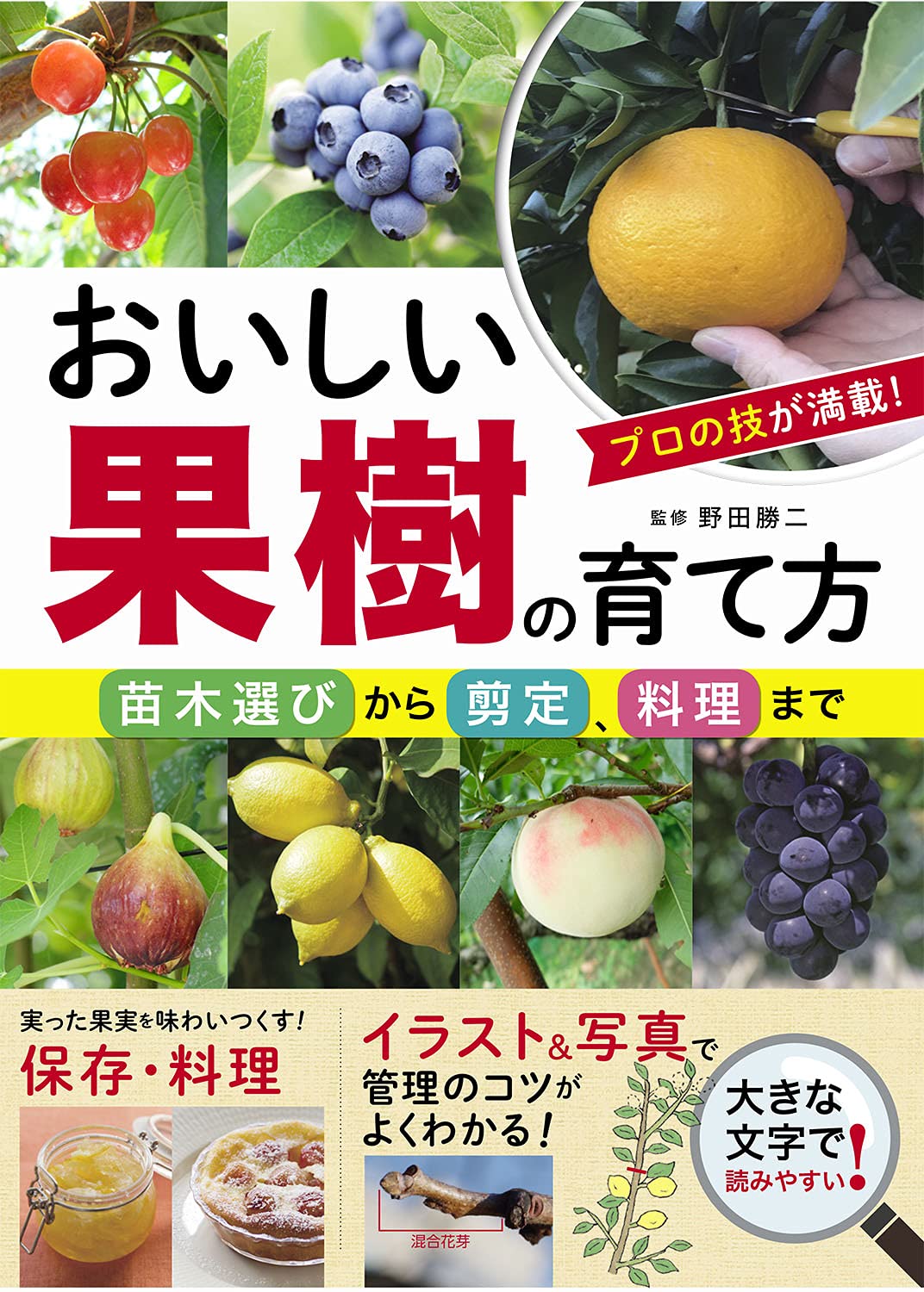 おいしい果樹の育て方 苗木選びから剪定、料理まで | 野田勝二 |本