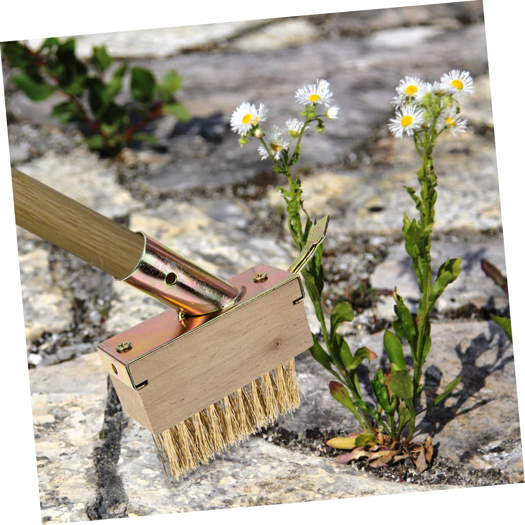 Toyvian 5 Piezas cepillo de deshierbe Eliminación quitando césped desarraigo cepillo de hierba gardening herramienta de grietas cepillo para juntas de pavimento acero Khaki