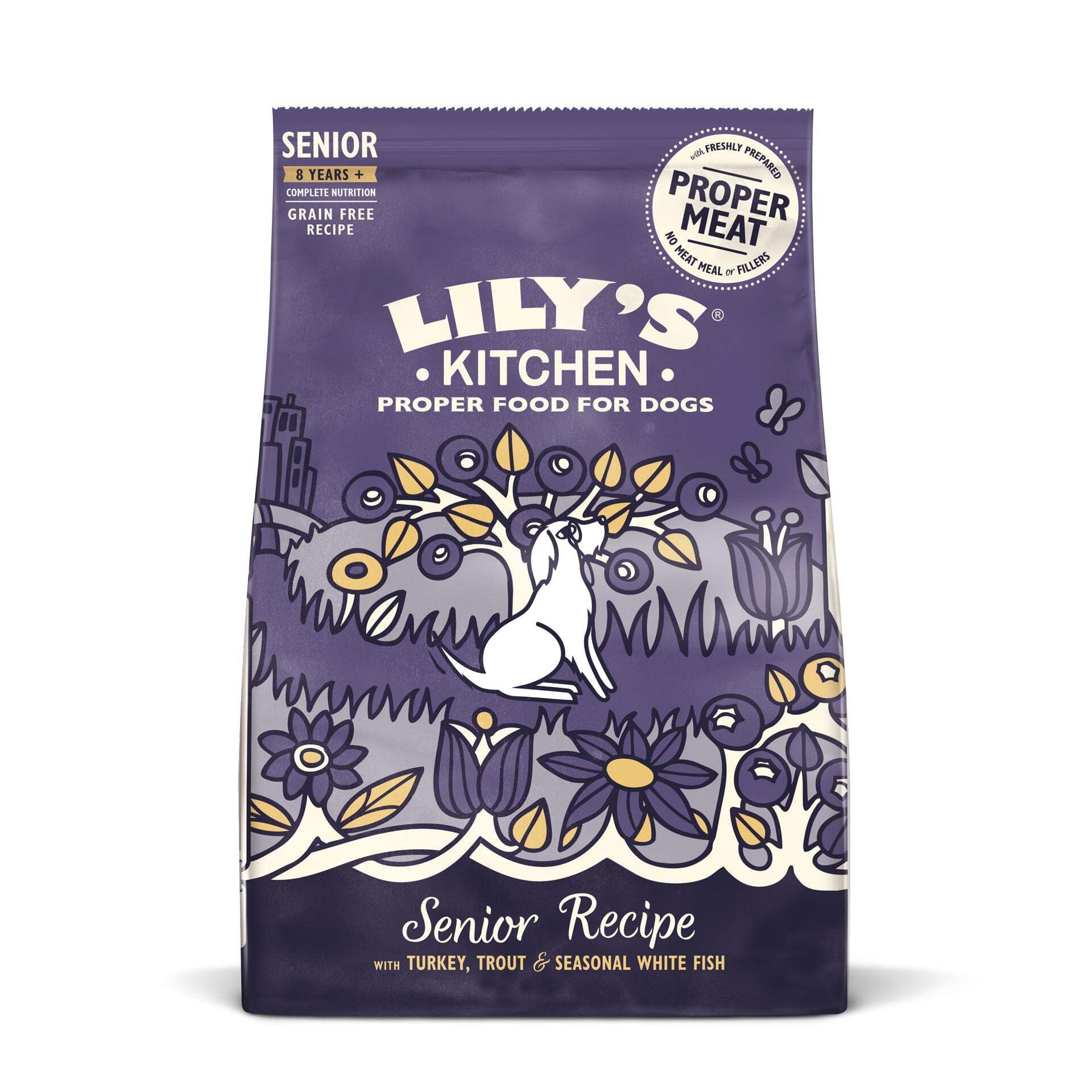 Lily's Kitchen Salmon & Trout Adult 8+ Complete Dry Dog Food, 1kg