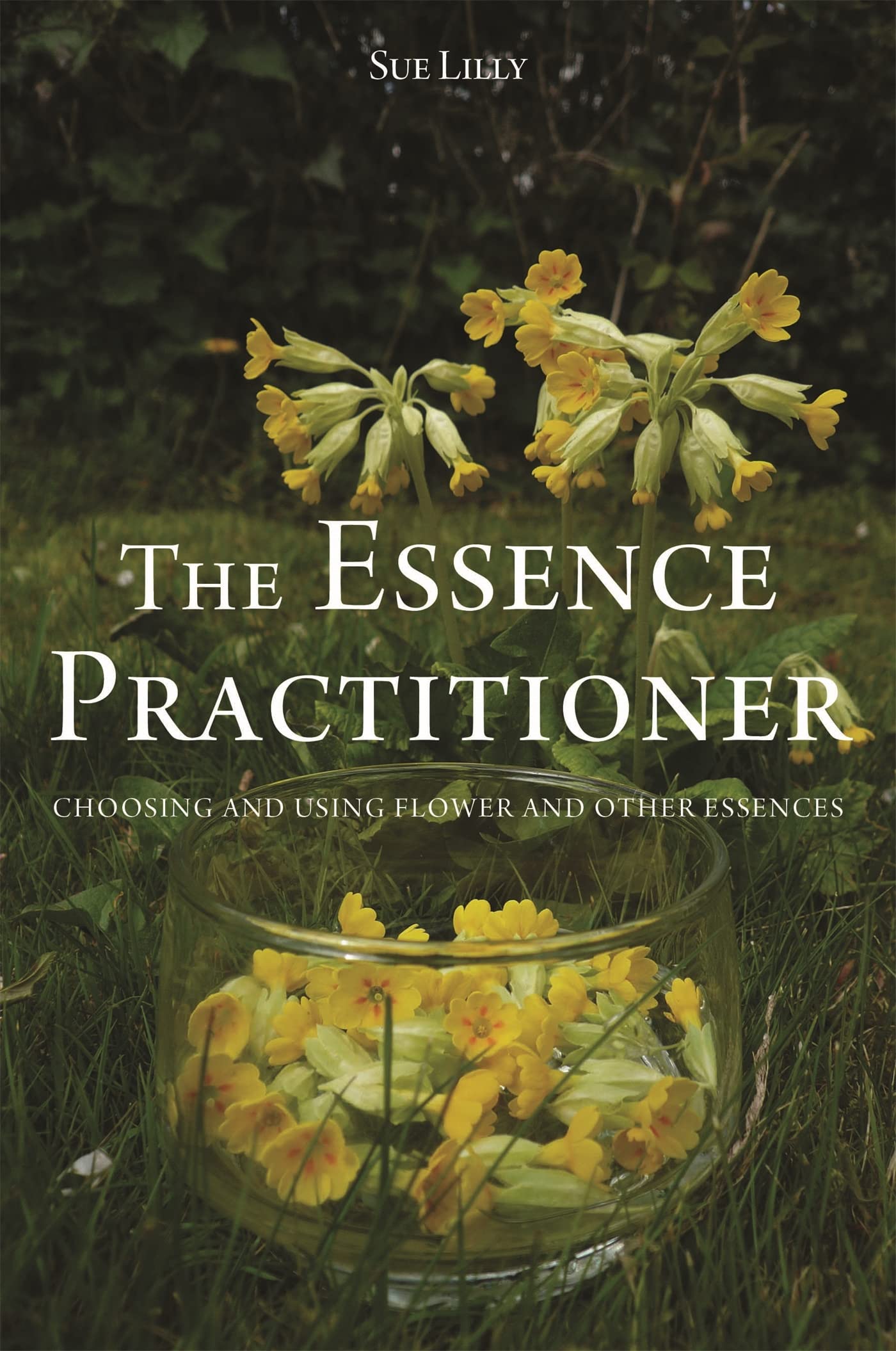 The Essence Practitioner,Sue Lilly