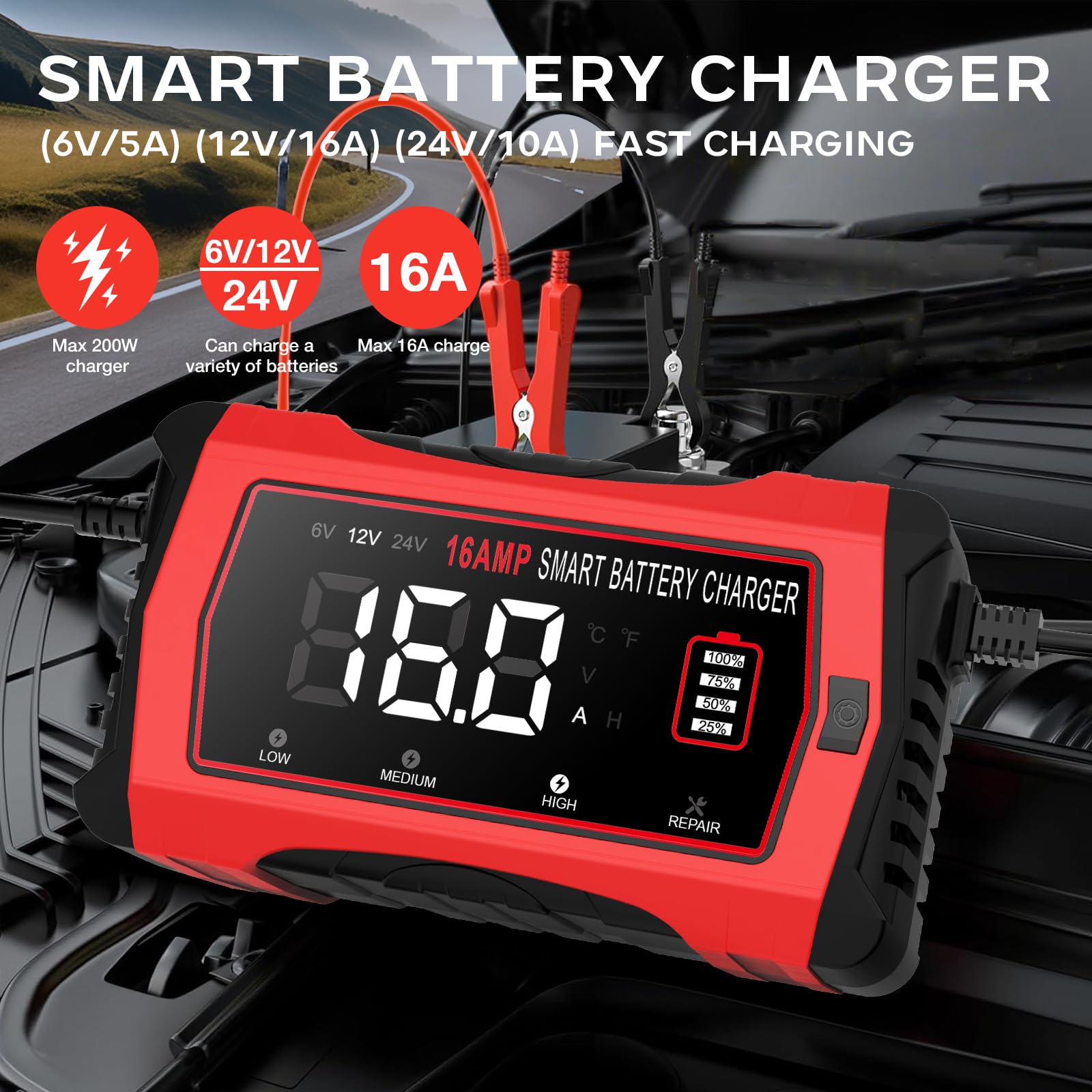 Caricabatterie LiFePO4 da 16 A, 12 V e 24 V, mantenitore intelligente per auto con 10 fasi e compensazione della temperatura