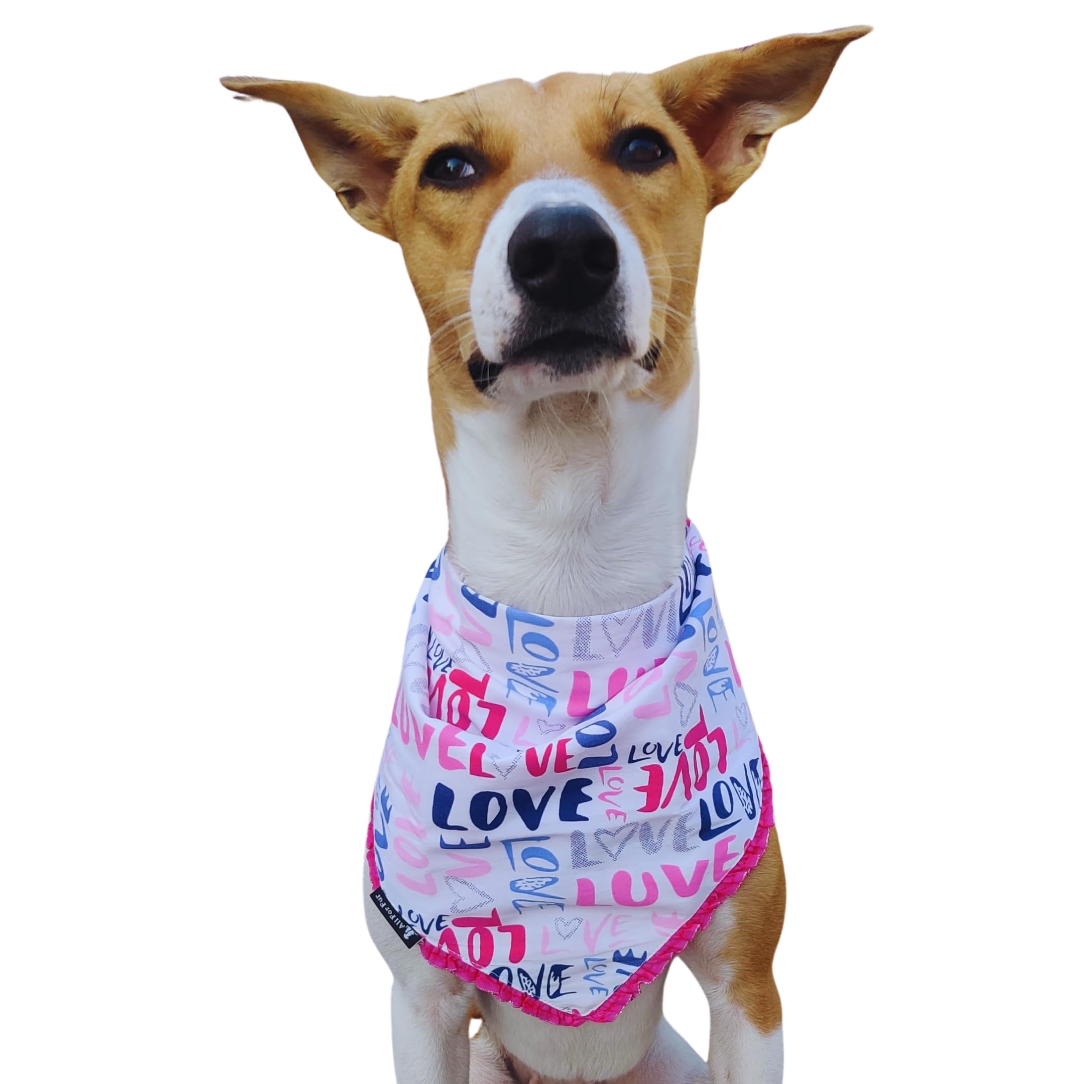 All For Fur Dog & Cat Bandanas | Premium Material | Handmade | Knot & Tie | Love Print (B0BW49B7RG) Amazon Price History, Amazon Price Tracker