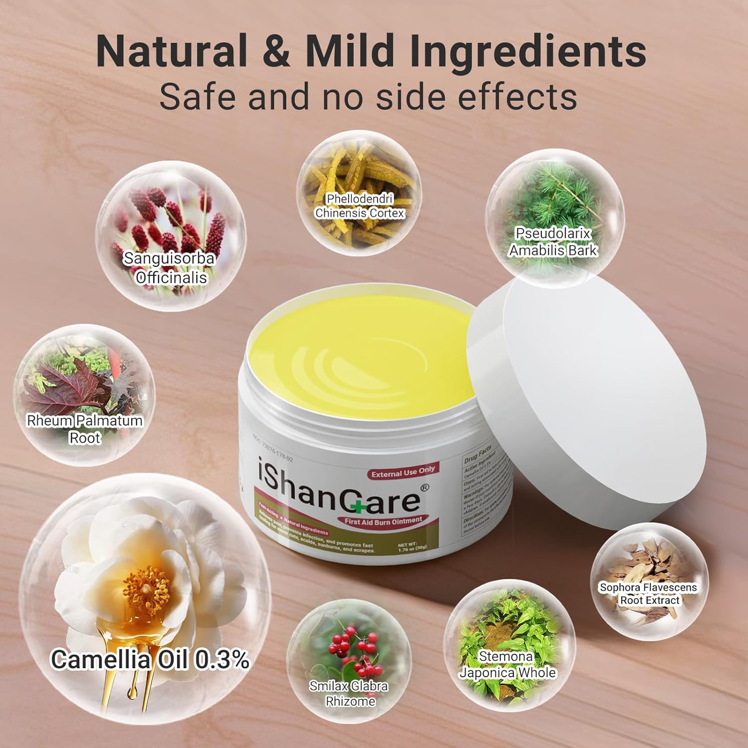 ishancare Burn Ointment with Camellia Oil, Fast-Acting Natural Relief for Burns, Sunburns, Cuts & Scrapes, Ensitive Skin Safe, 1.76oz - Image 2