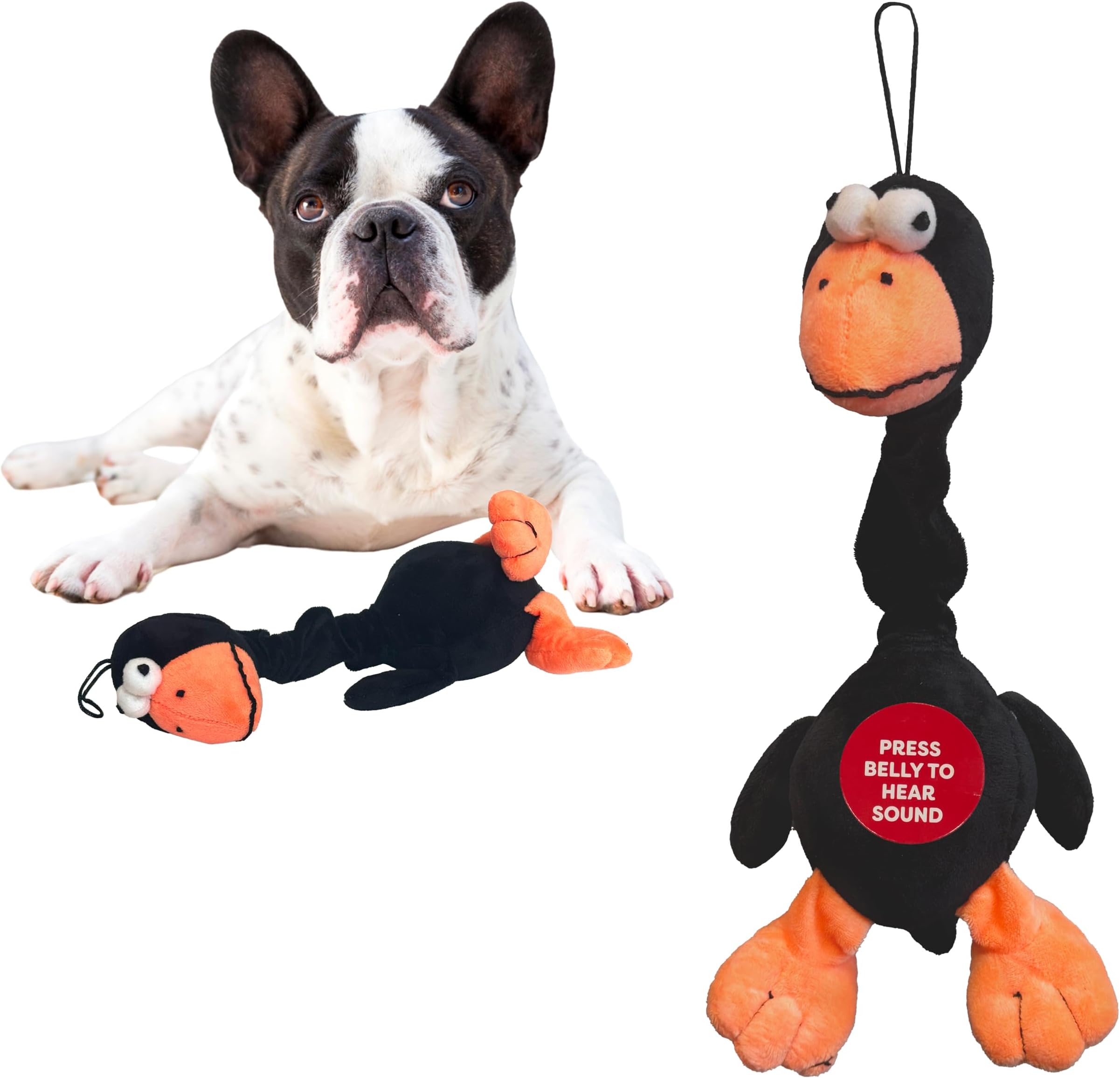 Chirpies Plush Dog Toy – Bird Sound Squeaky Toy for Small and Medium Dogs, Light to Moderate Chewers, Stretchy Bungee Neck, Recycled Stuffing – 14 in, Assorted Styles