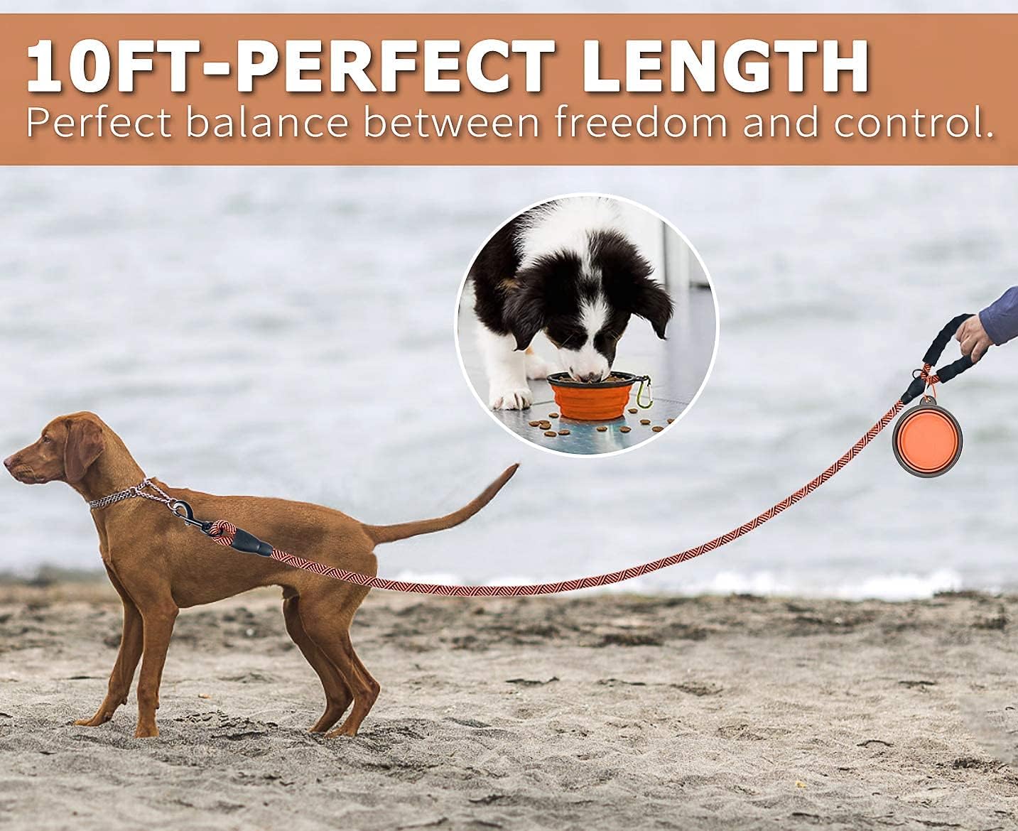 DOYOO Dog Leash 10FT Thick Durable Nylon Rope - Comfortable Padded Handle Non Reflective Rope Dog Leash for Medium Large Dogs with Collapsible Pet Bowl and Garbage Bags (Non-reflective10 FT -Orange) : Pet Supplies