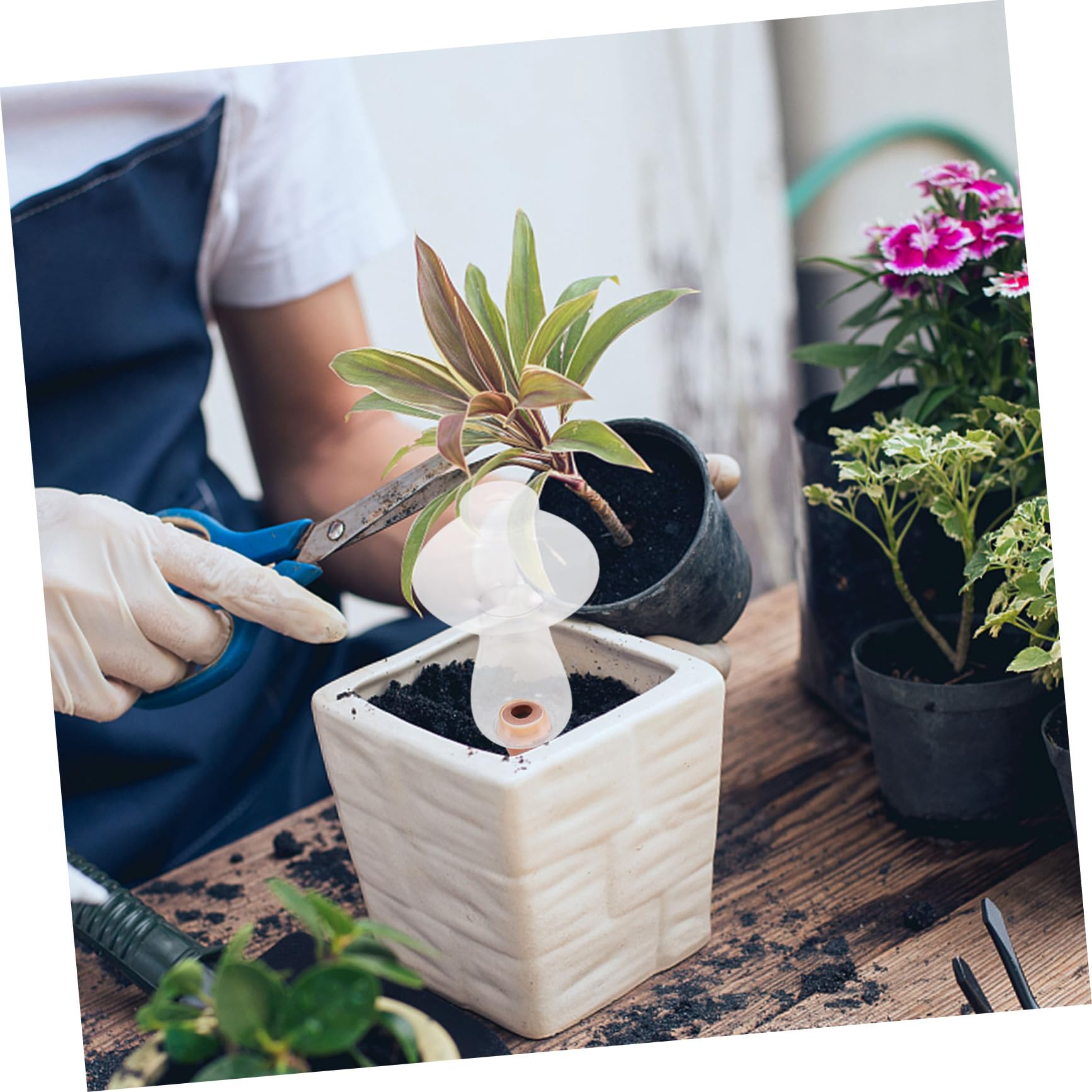 Toyvian 5 Ensembles Arrosage Automatique des Fleurs Dispositif D'Arrosage -À- pour Plantes D'Intérieur Outil D'Arrosage pour Plantes Succulentes 2 pièces * 5