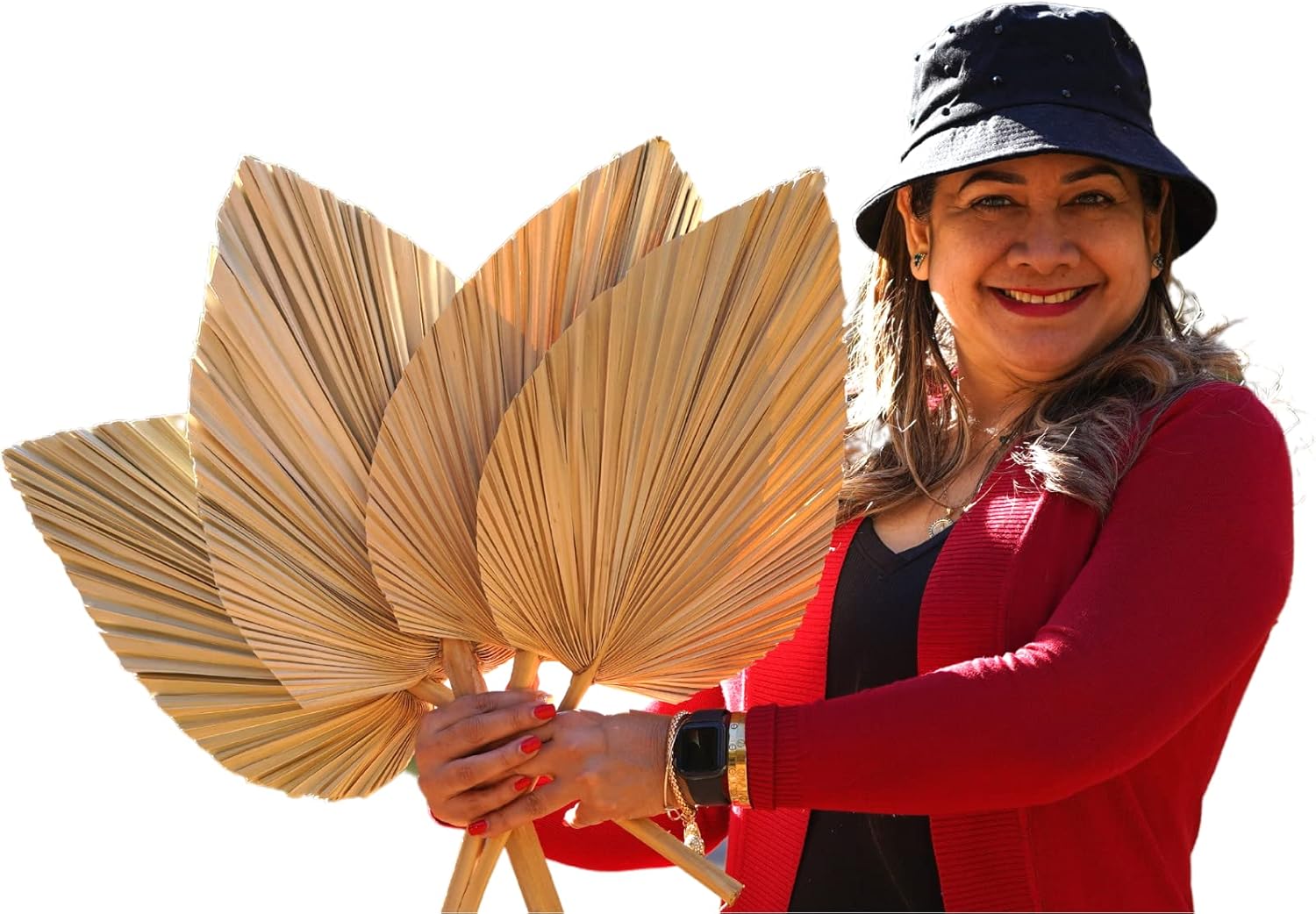 4Pcs Extra Large 23' Natural Dried Palm Leaves Dried Palm