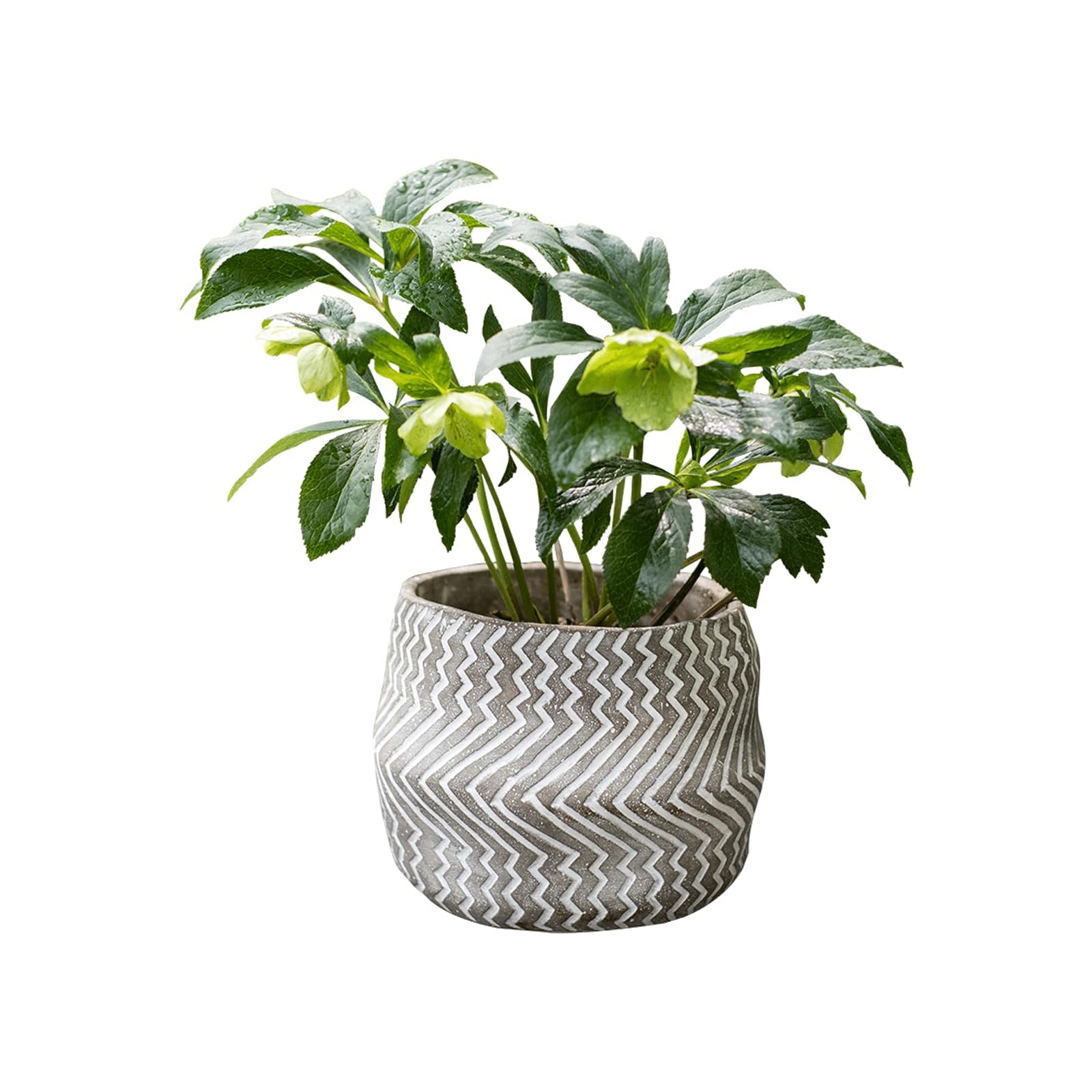 Pots de fleurs design en ciment au motif unique pour décoration raffinée