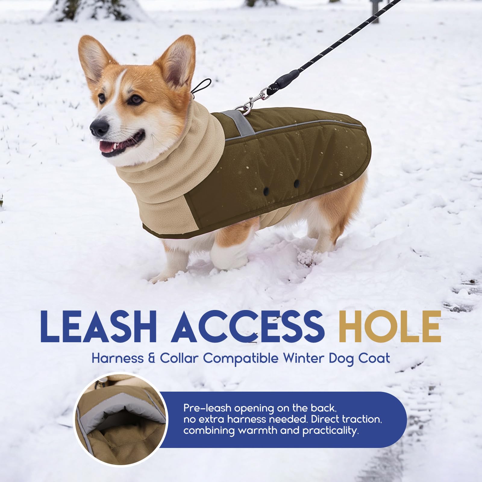 ASENKU Wasserdichter Hundemantel Winter M mit Fleece für mittelgroße Hunde | Reflektorstreifen, Klettverschluss, Hundejacke Ideal für Spaziergänge bei Kälte und Schnee.Perfekt für Dackel, French Bulldog