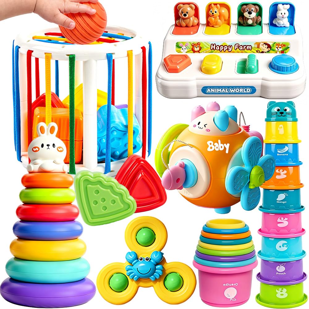 Caiery 6 in1 Baby Toys Montessori Toys for 1 Year Old Boys Girls 1st Birthday Gifts, Brian Sensory Toys for Babies Early Educational Baby Travel Toys for Toddler Age 1-2