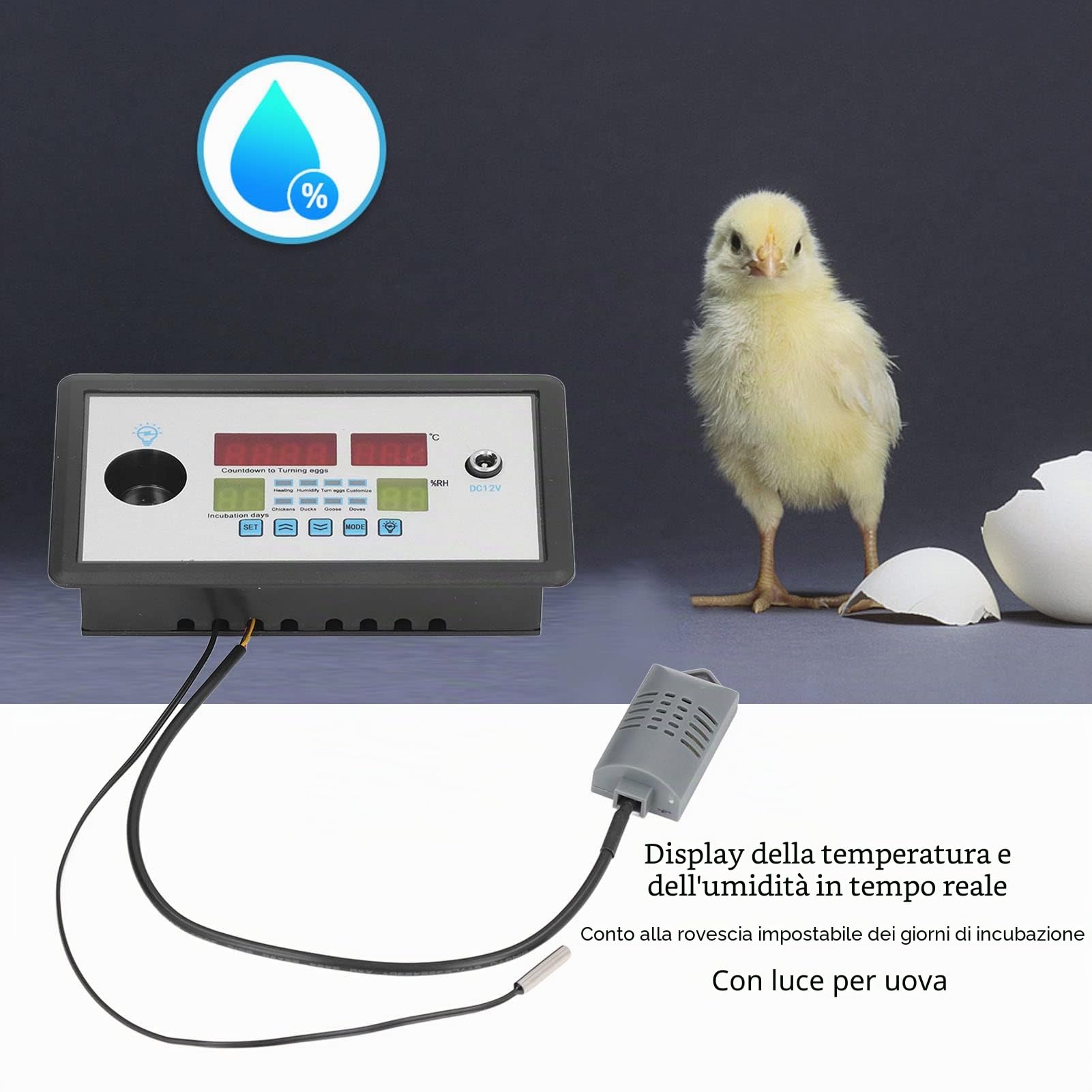 Termostato Intelligente per Incubatrice, Igrostato Automatico con Sonda Umidità e Temperatura, Controllo Remoto per Hatching, DC 12V