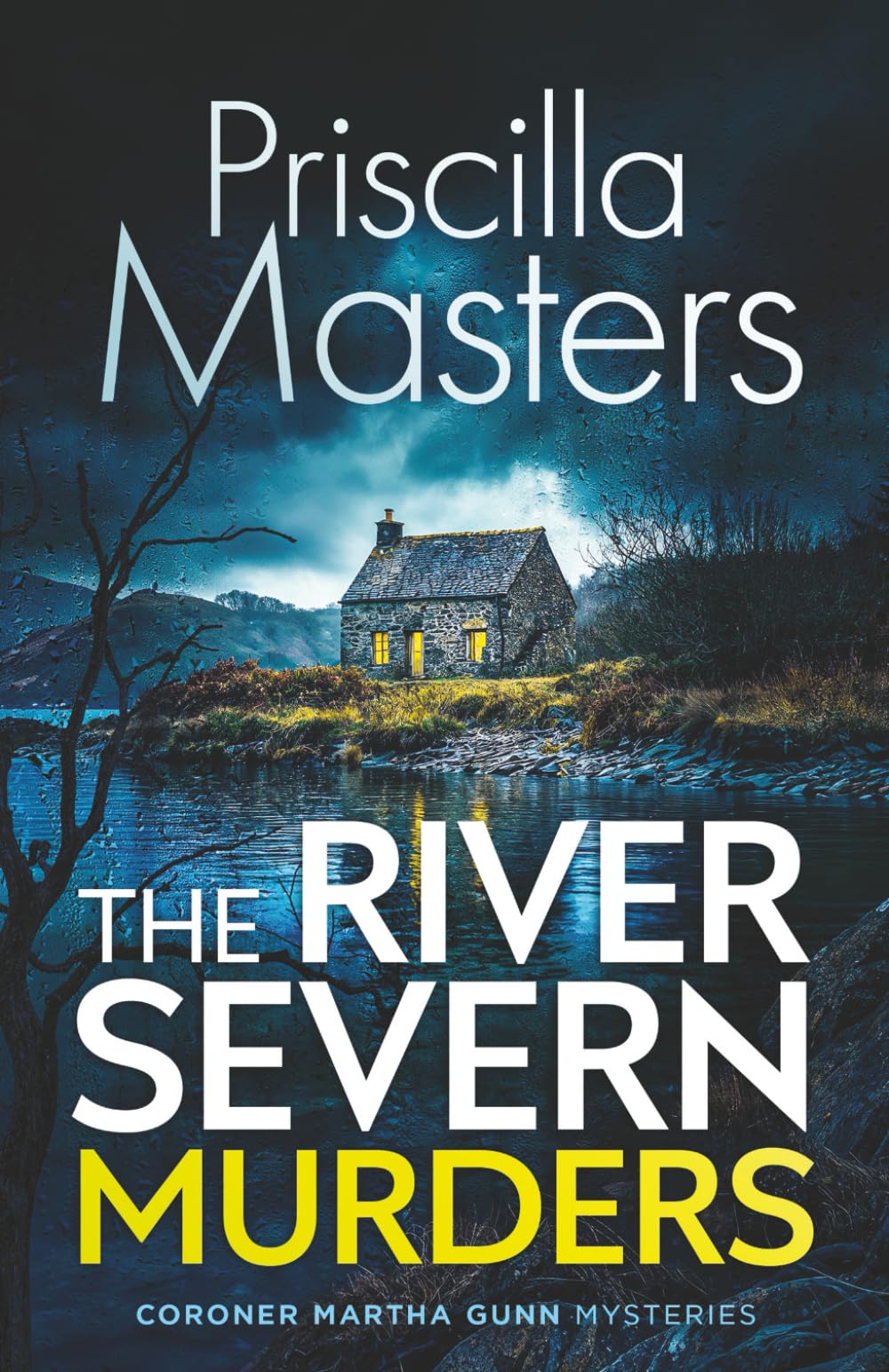 THE RIVER SEVERN MURDERS an absolutely gripping and unputdownable British crime mystery (Coroner Martha Gunn)
