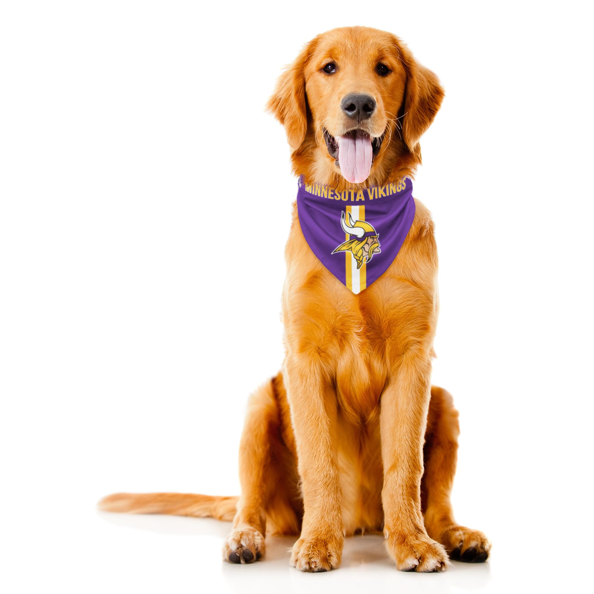 Little Earth Productions Littlearth Minnesota Vikings NFL Pet Bandana