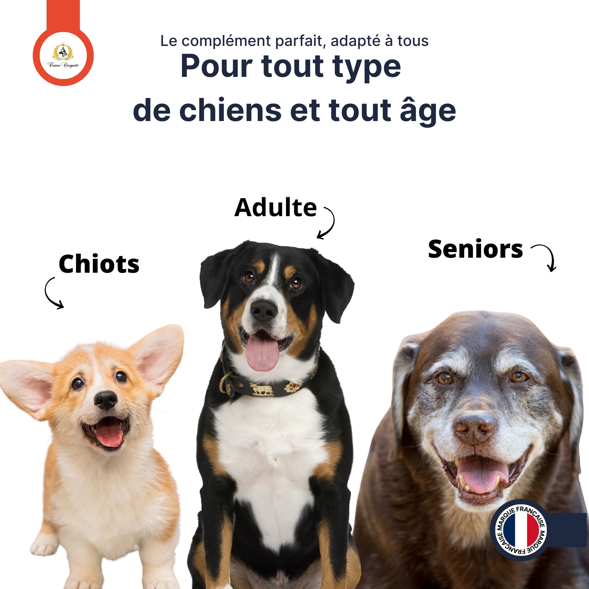 double oméga huile de foie de morue et saumon pour chien – oméga 3 et 6 naturels – vitalité immunité articulations cerveau pelage brillant – complément alimentaire huile 500 ml