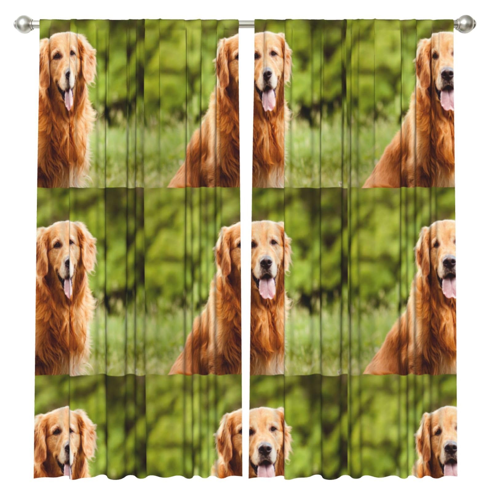 InOmak Golden Retriever Dog, 2 Panels Window Curtains 52 x 84 Inch Blackout Curtains for Living Room Bedroom