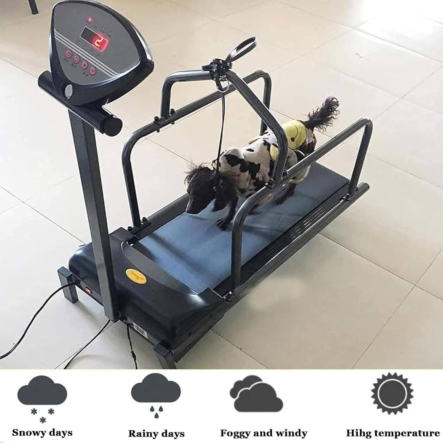 Cinta de Correr para Perros, Equipo de Ejercicio para Patio, casa, Interior, Ejercicio y pérdida de Peso, con Pantalla LCD