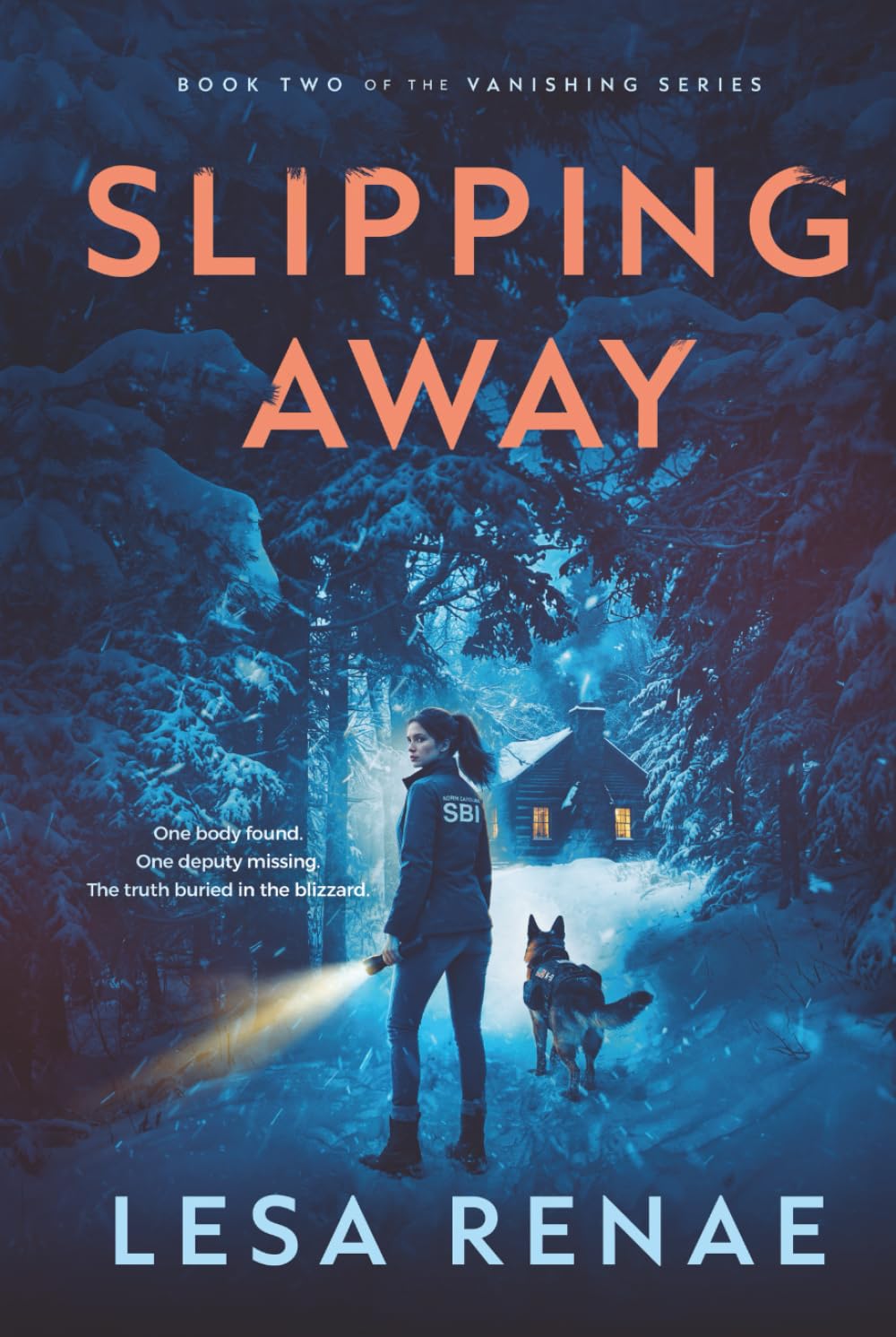 Slipping Away: A Small-Town Romantic Suspense Novel (The Vanishing Series)