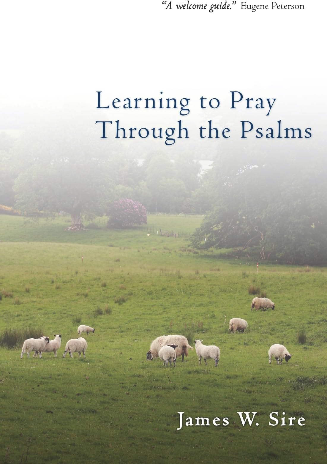 Learning to Pray Through the Psalms