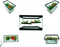 Aquário Terrário N2 Vidro Decorado 25x12x15 Peixe Tartaruga