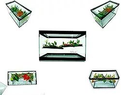 Aquário Terrário N2 Vidro Decorado 25x12x15 Peixe Tartaruga