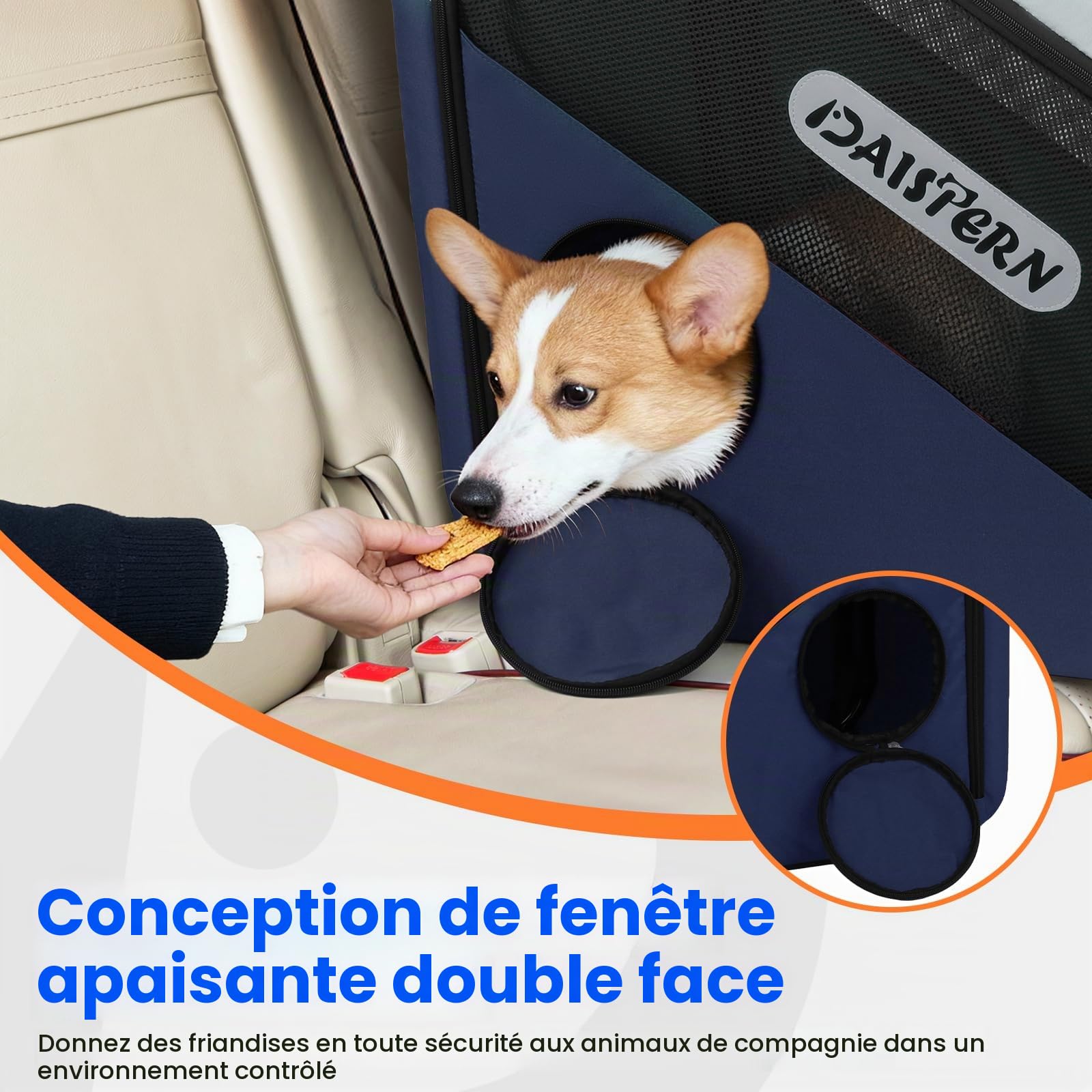 Cage de Transport Chien Pliable pour Voiture, Caisse de Voyage Souple pour Petits et Moyens Chiens, Cadre Métal Robuste, Fenêtres Maille Respirantes, Pliage Rapide, Bleu