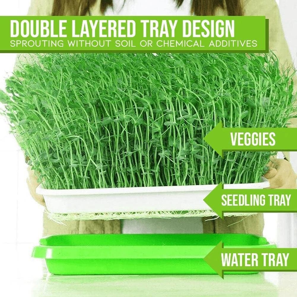 ISTARA Double Layer Sprouting Vegetable Plate Bud Seedling Tray Bean Sprout Soilless Culture Tool for Garden Home Office (1Pcs- Multi Color) 2