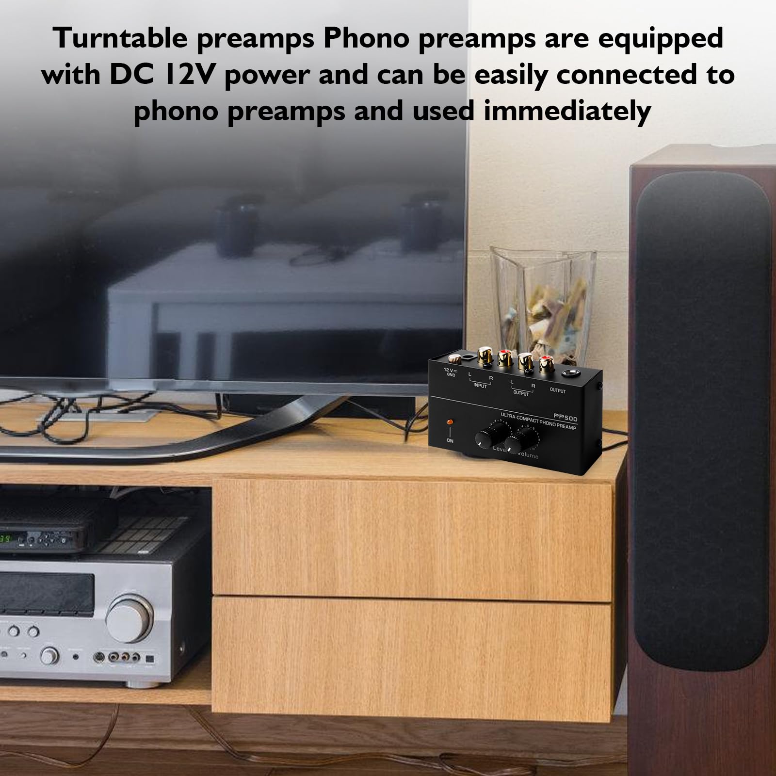 Giradischi Phono Preamplificatore PP500 Preamplificatore Audio Stereo con Ingresso e Uscita RCA