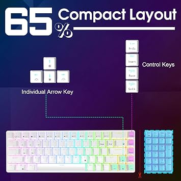 RK ROYAL KLUDGE RK68 Wired 65% Mechanical Keyboard RGB Backlit Ultra Compact 60% Layout 68 Keys Gaming Keyboard Hot Swappable Keyboard with Standalone Arrow/Control Key Red Switch White