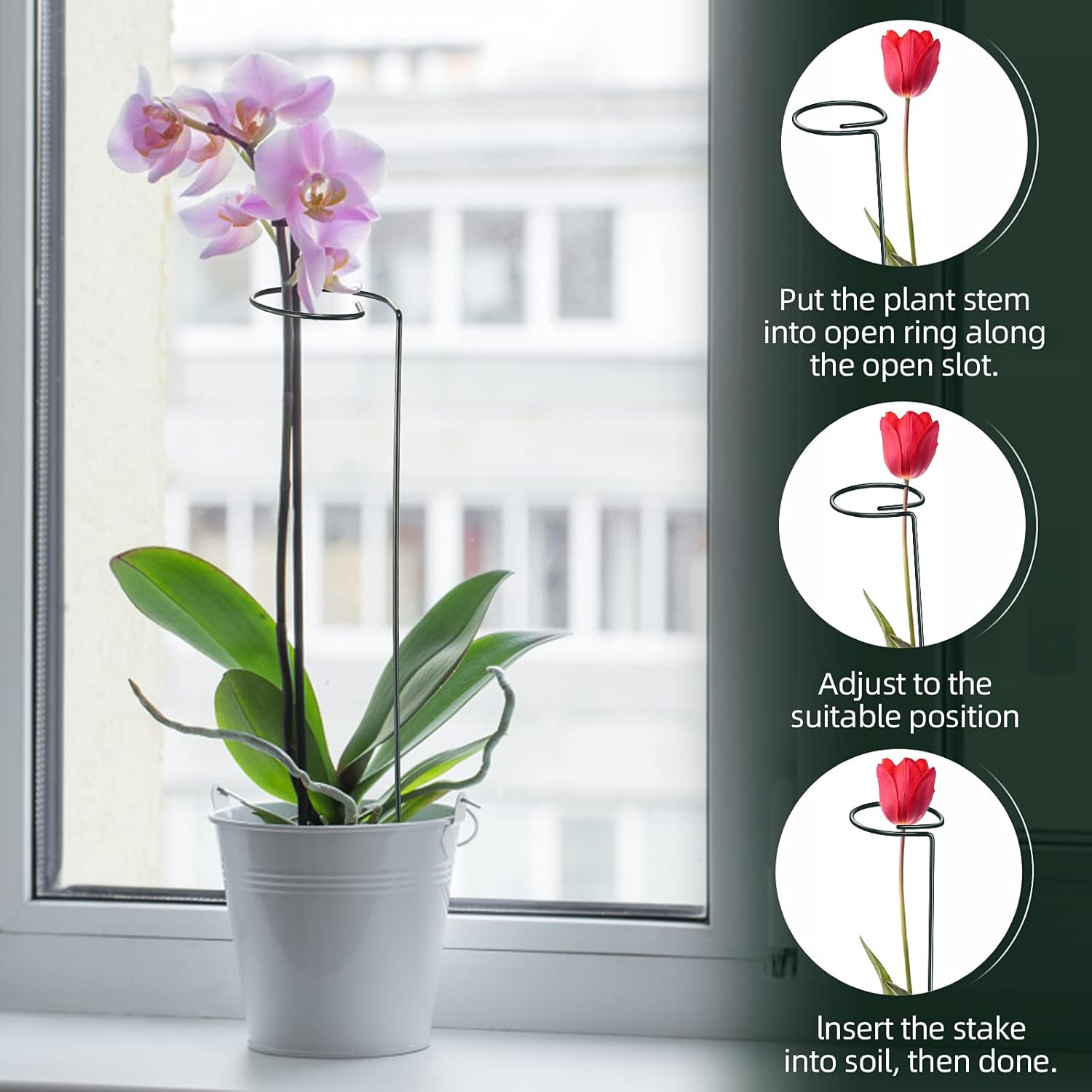 16 Inch Plant Support Stakes (Pack of 7), Garden Single Stem Amaryllis Flower Stake, Metal Plant Cage Support Rings Plants Support Sticks with 10 PCS Plant Clips - Image 5