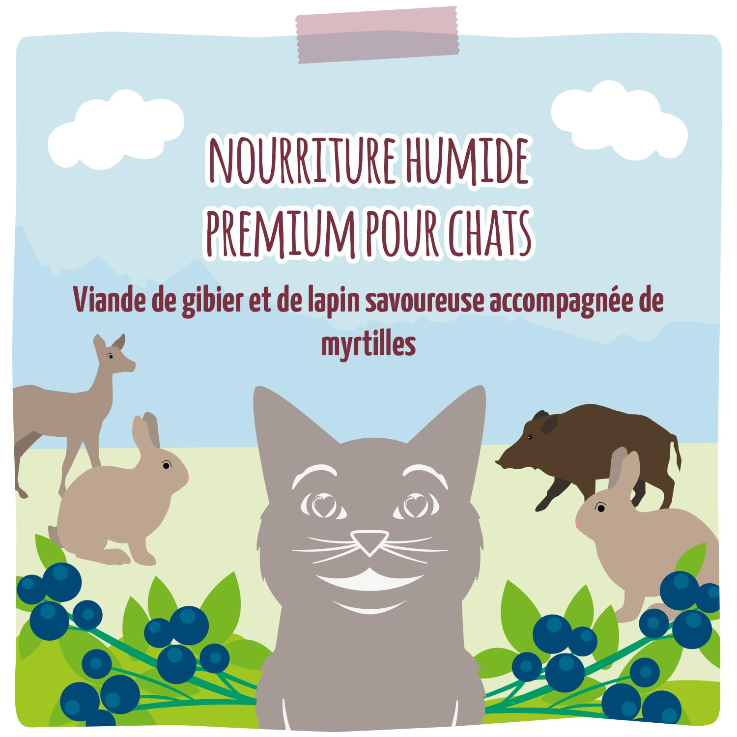 MjAMjAM - nourriture humide premium pour chats - gibier copieux et lapin aux myrtilles fruitées, paquet de 6 (6 x 200 g), sans céréales avec supplément de viande