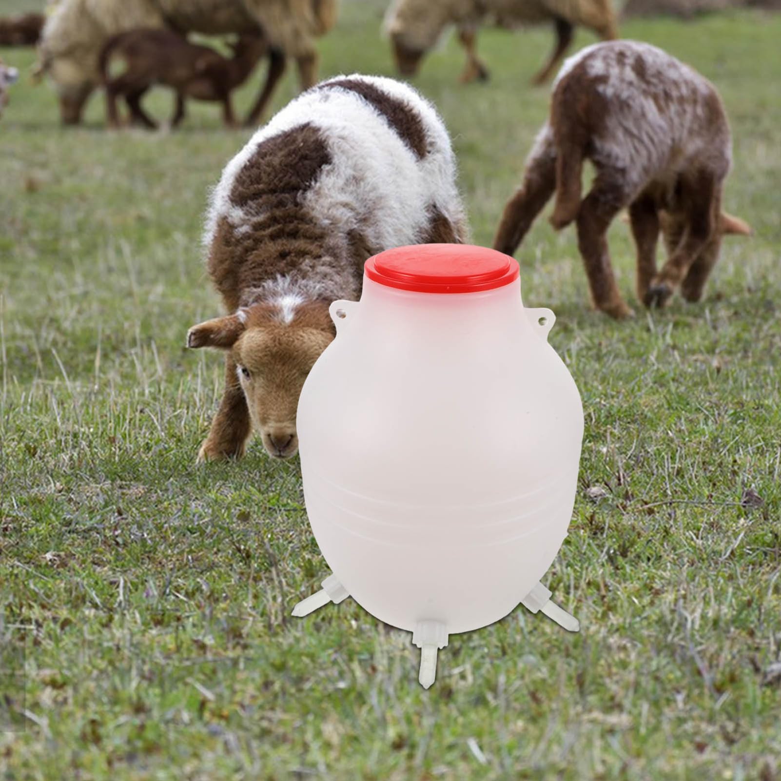 ifundom Biberon Per Agnelli e Capre Kit Alimentazione Con Tettarella Morbida Per Pecore e Fattorie Facile Da Usare e Trasportare