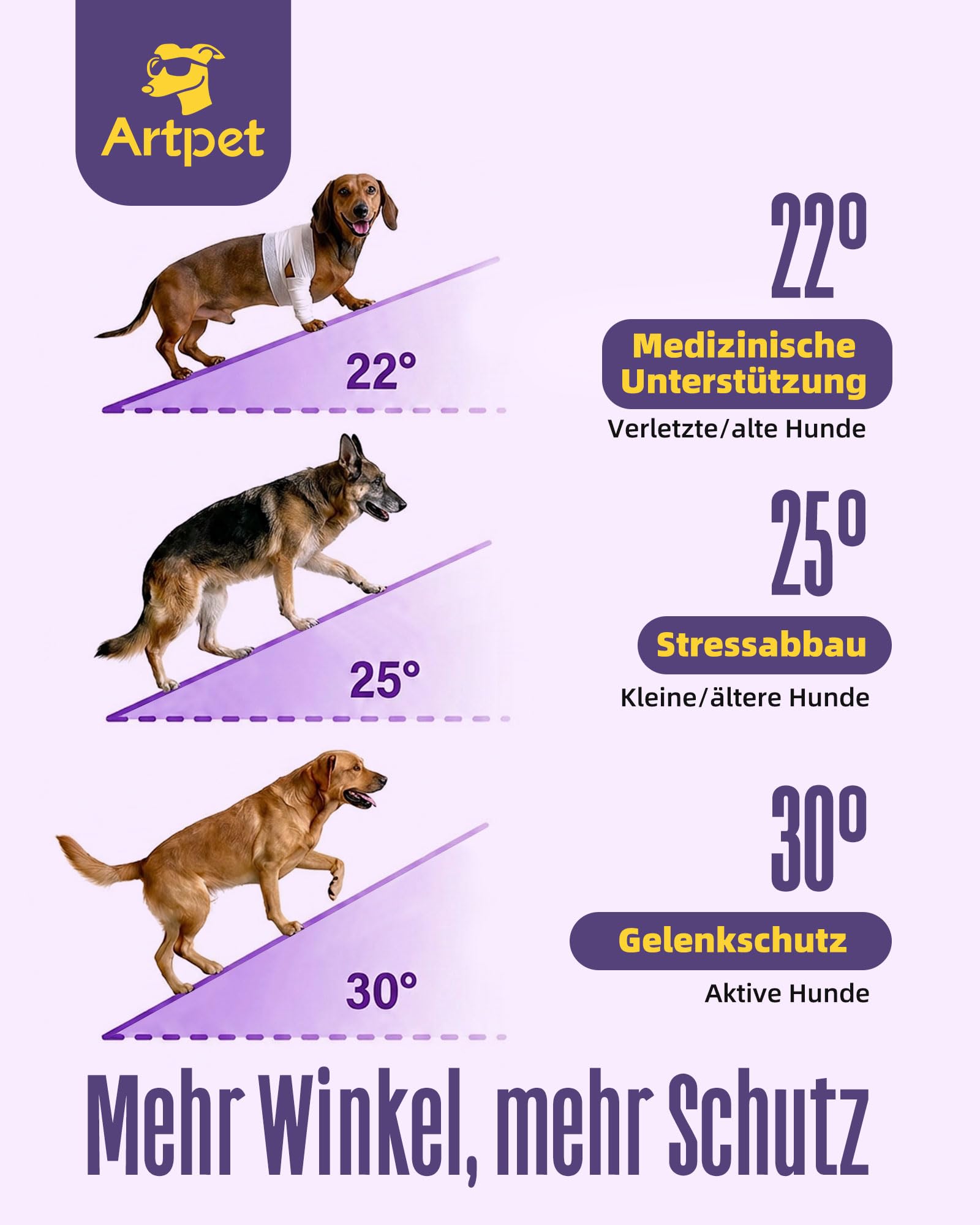 Hunderampe für Sofa Bett Klappbar Rampe Klappbar für kleine Hunde Katzen Einstellbar 45 cm, bis zu 20kg