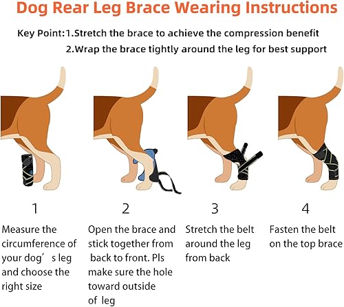 Miniatura 6 de Soporte de articulación para perros medianos y grandes, envoltura de compresión con correas y tiras de resorte de metal que protege heridas, cura,
