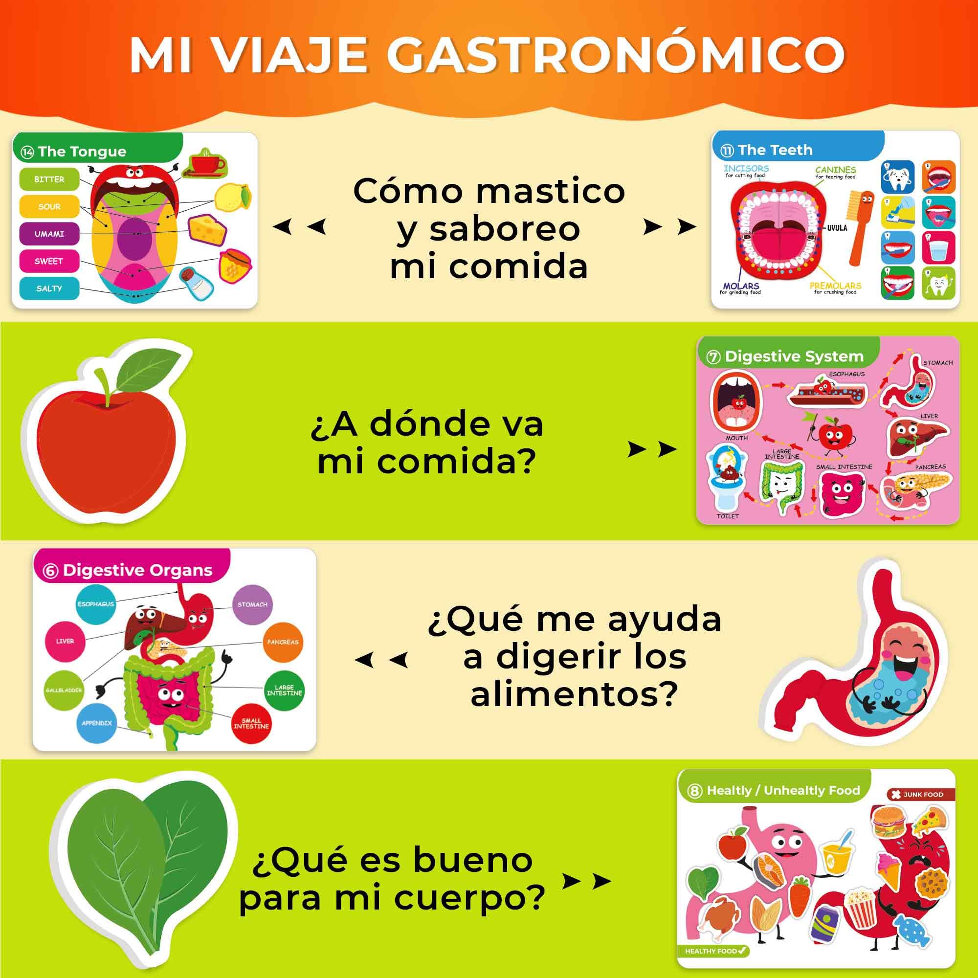 QUOKKA Busy Board Montessori 1 2 Año - Versión Inglés - Libro Sensorial Bebe con 15 Temas sobre el Cuerpo Humano - Busy Book Juegos Montessori 3 4 Años - Regalo Educativo para Niños y Niñas
