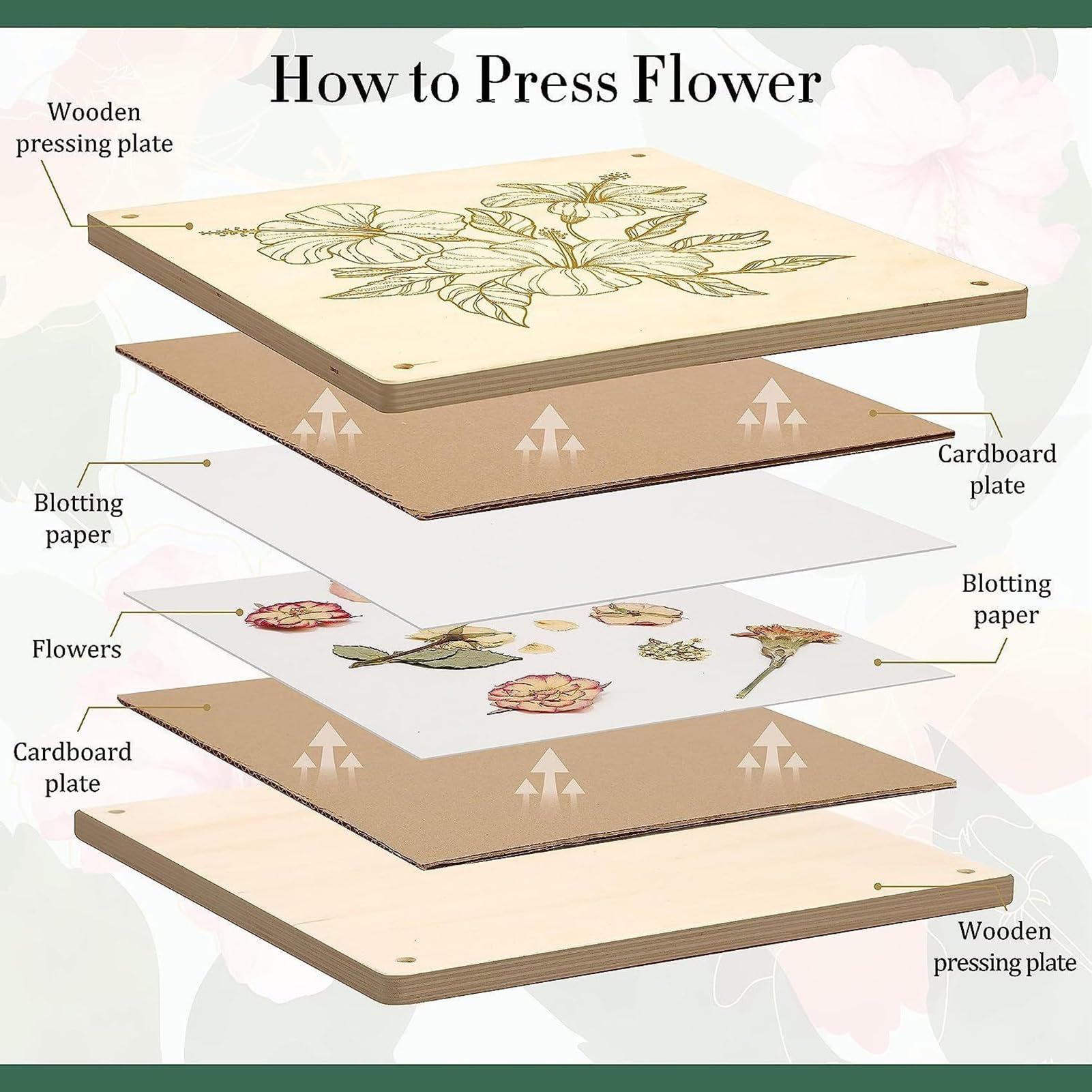 Genérico Kit de Flores Prensadas - Herramienta de Madera para Plantas Secas | Herramienta de Secado de 28x28 cm 10 Capas para Manualidades Adultos Niños Elaboración de Marcadores
